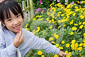 Asian chinese little girl posing next to Bellis perennis field