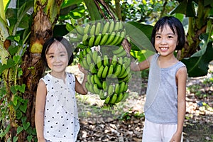 Asian Chinese Little Sisters holding green banana on the farm