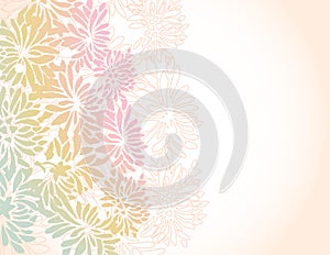 Asian chrysanthemum flower border background