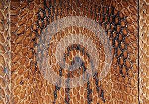 Asian cobra leather texture photo
