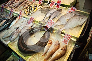 Asian counter to the fish market photo