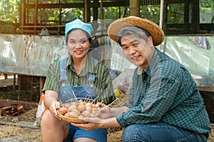 Asian couple farmer holding fresh chicken eggs into basket was sitting near hen beside chicken farm.Smiling because happy with the