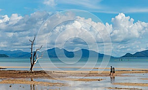 Asian couple holding hand walking with  sweet love  on the beautiful  beach by the sea  & mountain background at the eastern islan