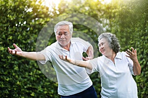 Asian Couple practicing Tai Chi in the park together