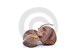 Group coconuts on white background