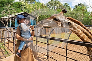 Asian cute baby girl feeding on your hand for big giraffe