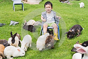 Asian cute boy smiling sitting on a chair in the garden lawn among the bunnies.Happy day.Free time and holiday activities