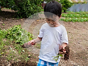 Asian cute child boy do gardening outdoor at home in happy family activity fun time.