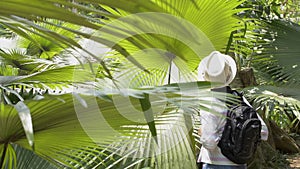Asian cute girl with backpack enjoying her time in the tropical palm forest during summer.