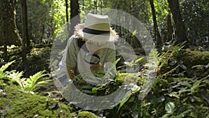 Asian cute girl wearing straw hat sitting and using magnifying glass to see the details of green plants for education.