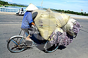 Asian cyclist on his bike