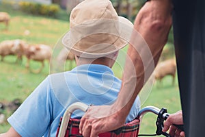 Asian disabled child on wheelchair wearing a hat in the sheep farm