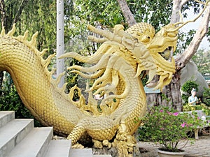 Asian dragon golden sculpture