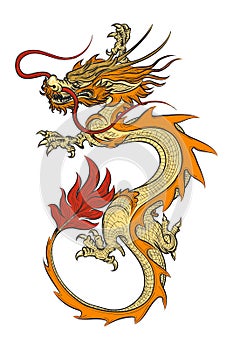 Asian dragon vector illustration photo