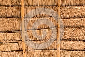 Asian dry grass roof pattern