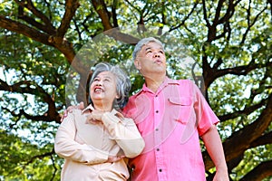 Asian elderly couple having a picnic in the park, smiling, enjoying life.