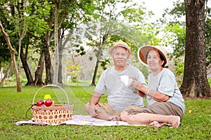 Asian elderly couple picnic in outdoor park