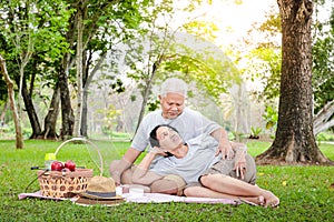 Asian elderly couples sit for picnics and relax in the park.