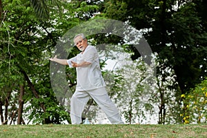 Asian elderly man doing yoga exercises In the field, outdoors, in the park. health care concept exercise