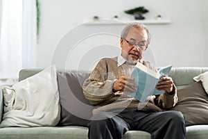 Asian elderly man reading fiction book at home
