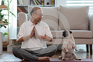 Asian elderly senoir man doing yoga with dog pug breed in living room at home,Happy Retired at home concept