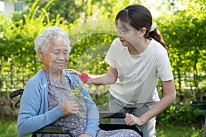 Asian elderly woman holding red rose flower, smile and happy in the sunny garden