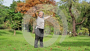 Asian elderly woman Stand and exercise in the park.