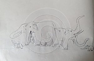 Asian elephant herd with babies