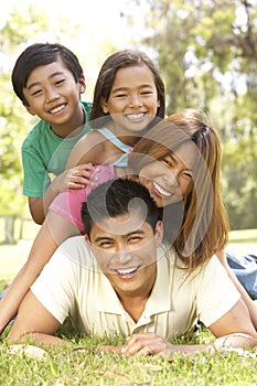 Asiatico famiglia contento nel parco 