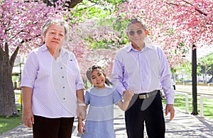 Asian family generation with grandparent and kid o