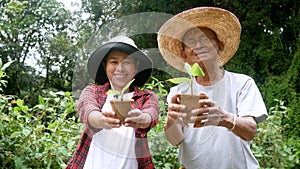 Asian family holding a seedlings growing in the nursery bag. Nature conservation concept