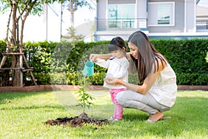 Asian family mother and kid daughter plant sapling tree and watering outdoors in nature spring for reduce global warming growth