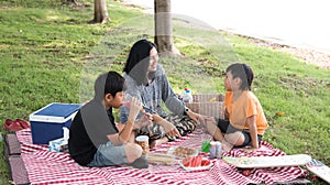 Asian family picnic