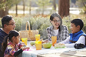 Asian family at a picnic table looking at each other