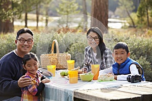 Asian family at a picnic table looking to camera