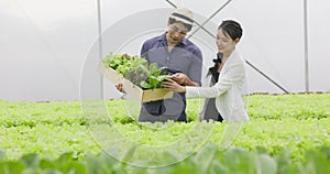 Asian farmer couple work in hydroponic vegetable greenhouse farm with happiness and joyful in row of plants background