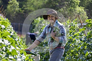 Asian farmer is freshly harvest healthy cucumber or zucchini from the vegetable organics farm approach for local gardener and photo