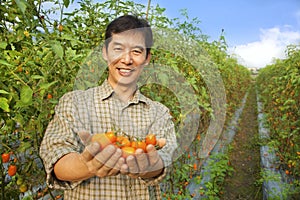 Asian farmer holding tomato