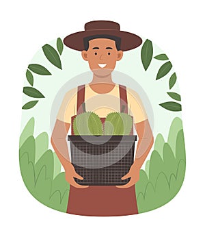 Asian Farmer Man Harvest Fresh Organic Durians from Tropical Fruit Garden