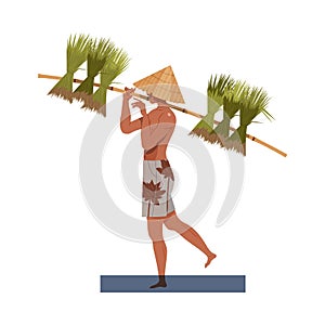 Asian Farmer in Straw Conical Hat Carrying Bundles of Rice Grass on His Shoulders Vector Illustration