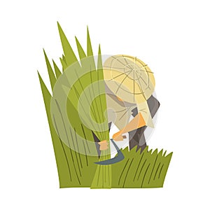 Asian Farmer in Straw Conical Hat Harvesting Rice, Peasants Character Working on Field Cartoon Style Vector Illustration