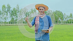 An Asian farmer surveys the rice fields in the fields