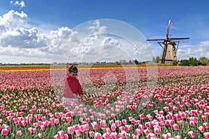 Asian farmer in a tulips farm