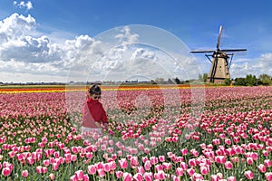 Asiático agricultor en tulipanes 