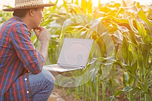 Asian farmer working in the corn field, Man using laptop to examining or analyze young corn crop after planting. Technology for