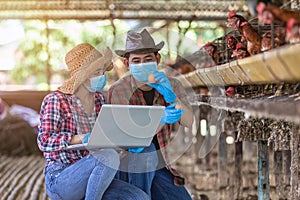 Asian farmers inspect and record the quality data of the chicken eggs using a laptop in eggs chicken farm