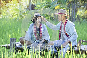 Asian Farmers take care of the rice quality in the field as well as harvest the produce