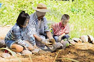 Asian farmers are teaching their children to care for the plants with patience and effort.