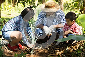 Asian farmers are teaching their children to care for the plants with patience and effort.