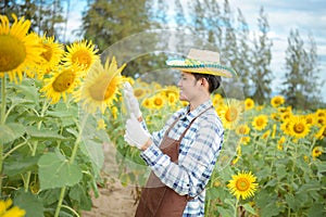 Asian farmers are using holograms Watching the development of his sunflower farm business with pleasure. Morning sun